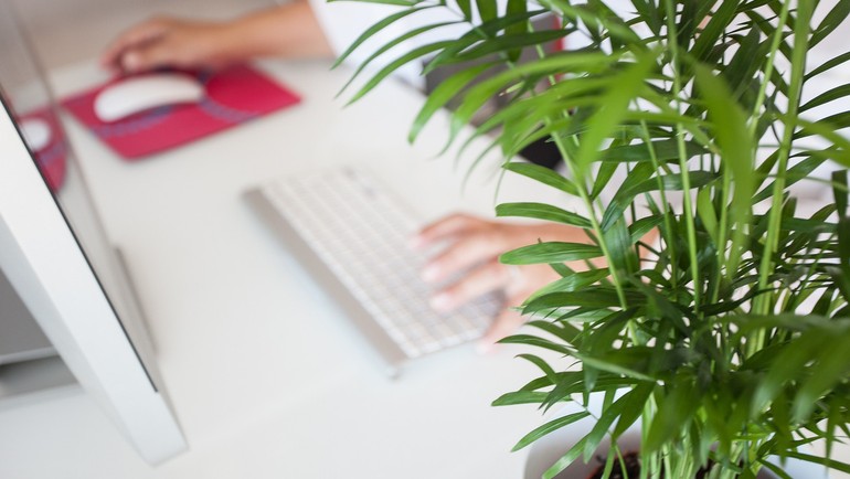 Pluriactivité ou télétravail : l'assujettissement des travailleurs frontaliers